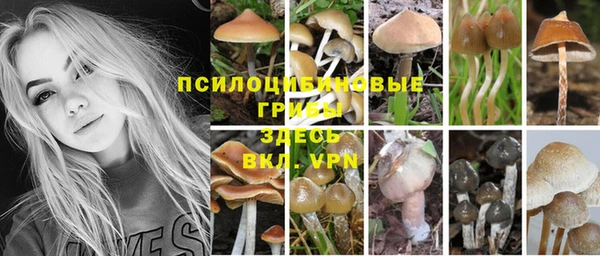 спиды Аркадак