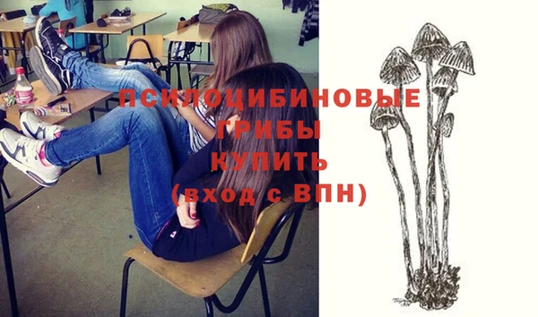 спиды Аркадак