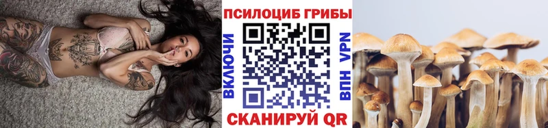 Псилоцибиновые грибы Psilocybine cubensis  купить  цена  Саянск 